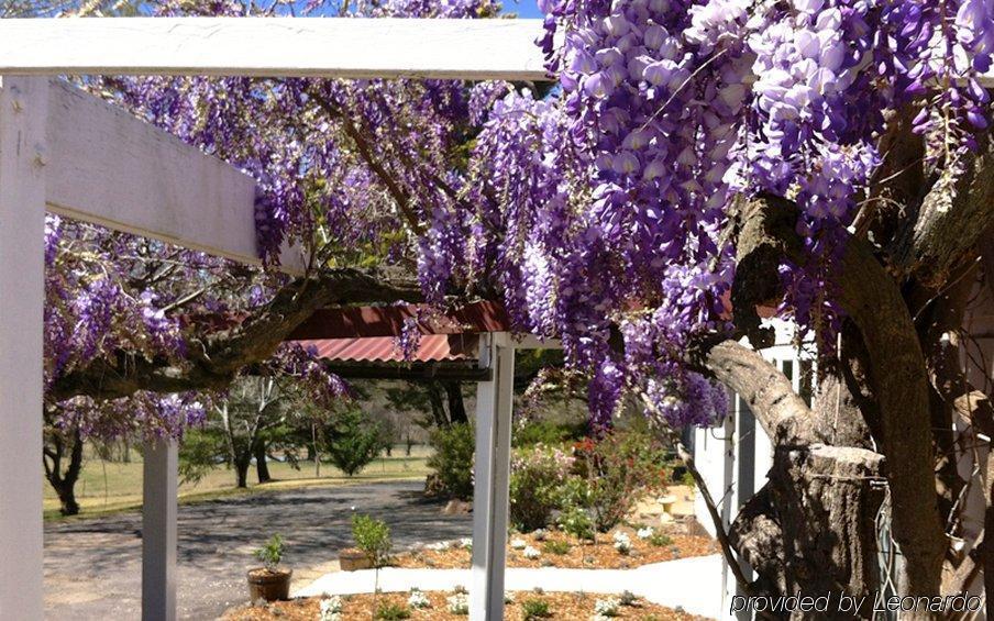 Moore Park Inn Armidale Ngoại thất bức ảnh