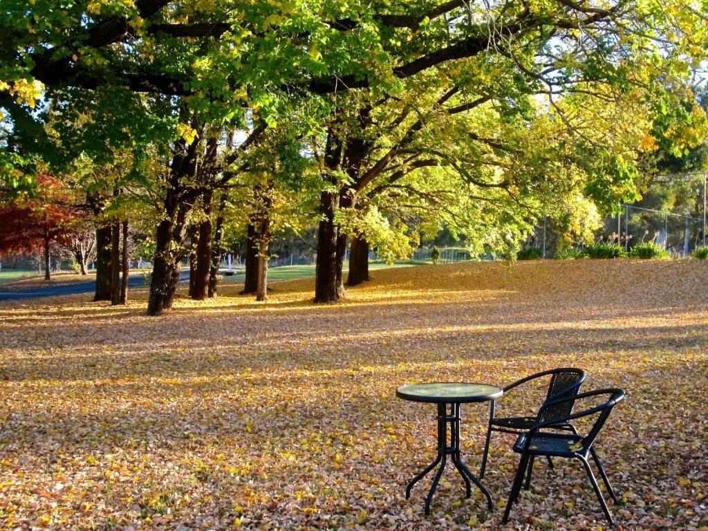 Moore Park Inn Armidale Ngoại thất bức ảnh
