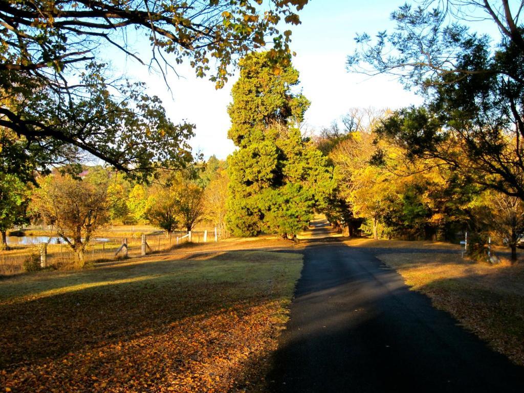Moore Park Inn Armidale Ngoại thất bức ảnh