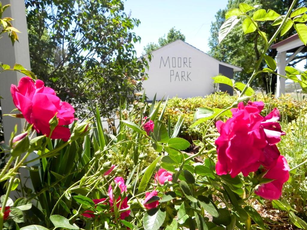 Moore Park Inn Armidale Ngoại thất bức ảnh